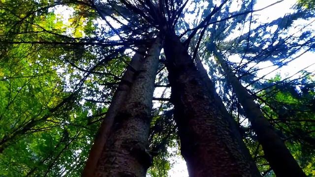 ВТОРОЕ ДЫХАНИЕ ХИТОВ