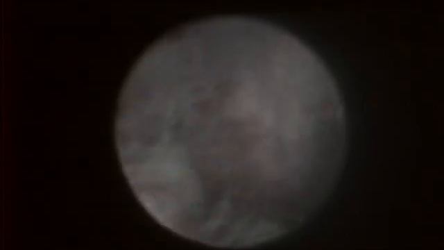 Veterinary, otoscopy for a dog, sanation смотреть онлайн