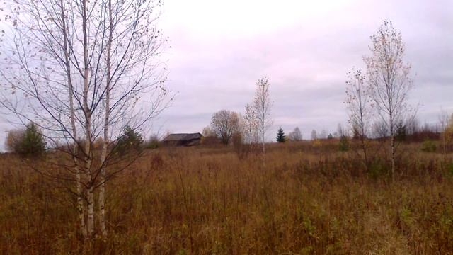 С клена лист упал резной. Стихи о природе смотреть онлайн