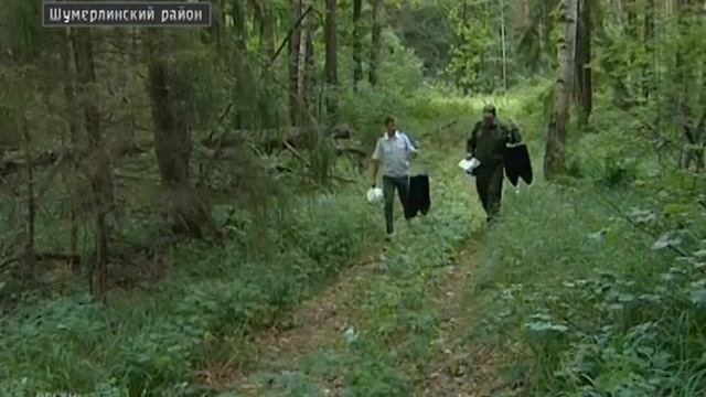 В Чувашии борются с насекомыми-вредителями смотреть онлайн