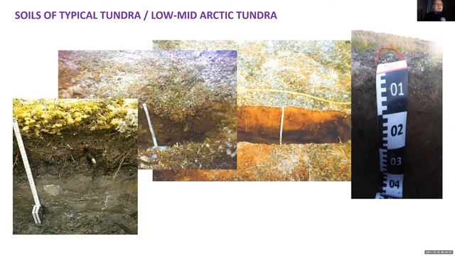 Pedogenesis of polar cities by Dr. Andrey Dolgikh (October 18, 2021) смотреть онлайн