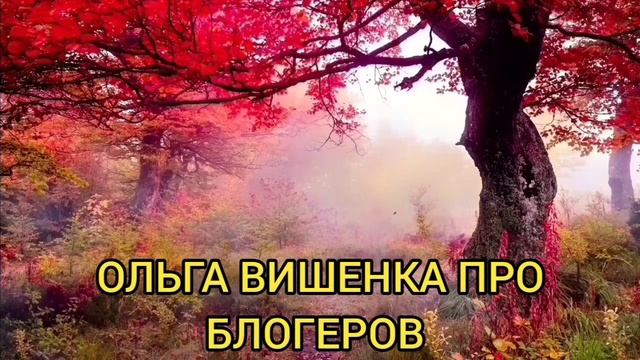 ВРЕДИНА УСТРОИЛА СКАНДАЛ С ЧУЖИМИ ДЕТЬМИ! КАНАЛ VREDINA LIFE. ОБЗОР ВЛОГА. смотреть онлайн