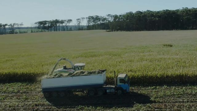 Curdievale Corn Harvest смотреть онлайн
