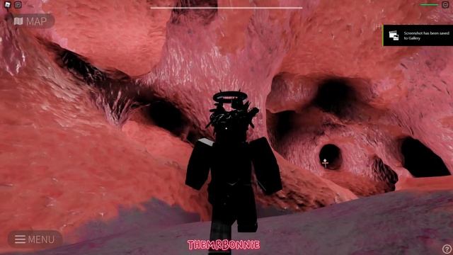 I Went To A Park That Was In A Human Body! - Mystery Flesh Pit National Park (Roblox) смотреть онлайн