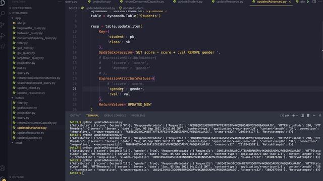 201 Update DynamoDB với Python Boto3 P12 | Multiple SET & Remove Action смотреть онлайн