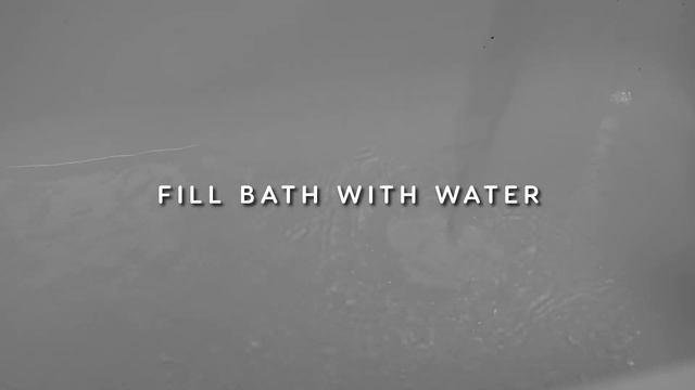 Ultrasonic SPA Bath Mat for Pets | Tauro Pro Line смотреть онлайн