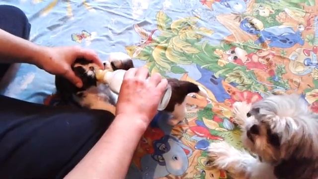 Нам месяц, кормление. смотреть онлайн