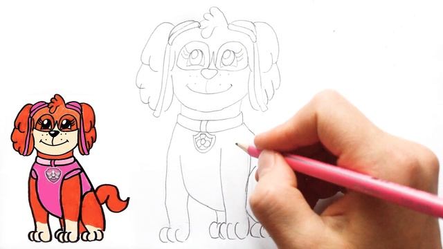 Как нарисовать щенка СКАЙ из мультика ЩЕНЯЧИЙ ПАТРУЛЬ. How to draw SKYE Paw Patrol characters. смотреть онлайн