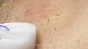 Satifying videos for Relaxation with Xinh Spa channel 5#45