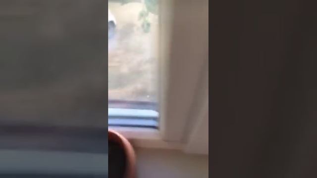 Уразгалиева Майра Атырау Рембаза Шашлычок смотреть онлайн