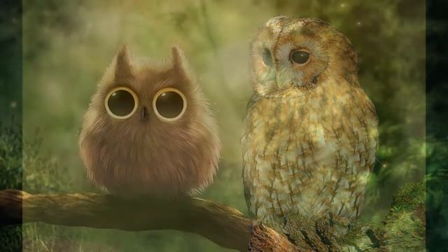 Cool Owl Wallpapers