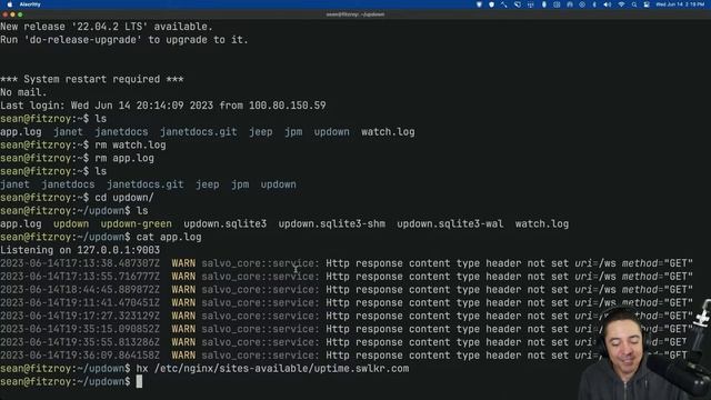 Breakdown on deployed uptime monitor to cheap vps [rust, sqlite in prod, dioxus liveview, helix] смотреть онлайн