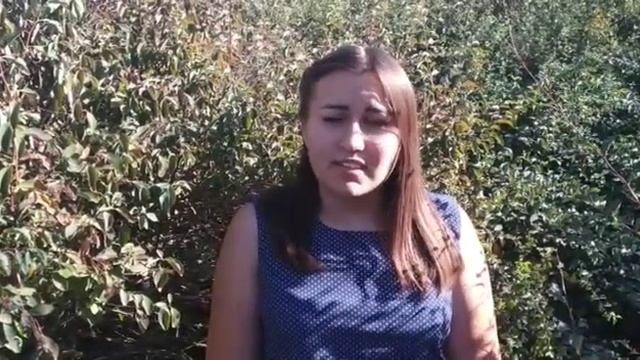 Видео марафон Читаем любимые стихи на фоне города Читает Квашнина Екатерина смотреть онлайн