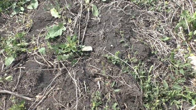 Тонны Металла в овраге. Поиск металла металлоискателем. Коп металла смотреть онлайн