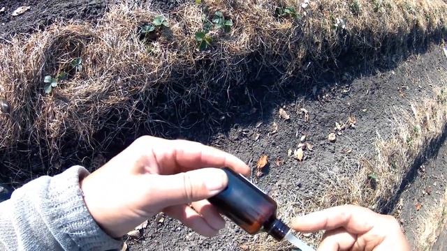 изгоняю крота смотреть онлайн