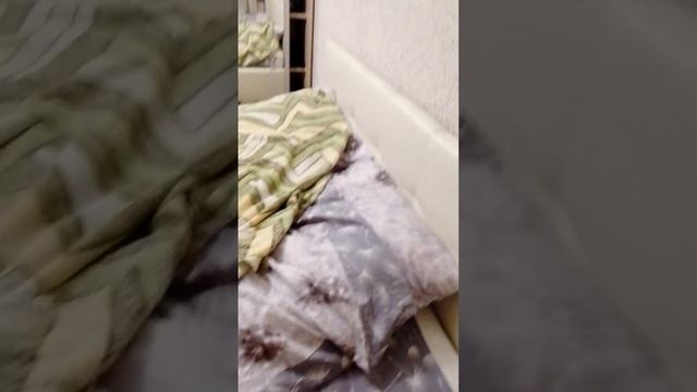 семечки курицы знаем любим будем жрать смотреть онлайн