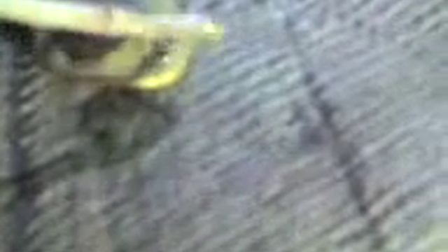 Клязьменский чужой смотреть онлайн