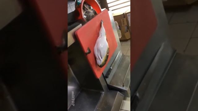 Топ 5 продуктов которые категорически нельзя употреблять в пищу смотреть онлайн