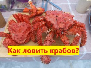 Как ловить крабов. Ловим крабов на Сахалине. Охотское море.