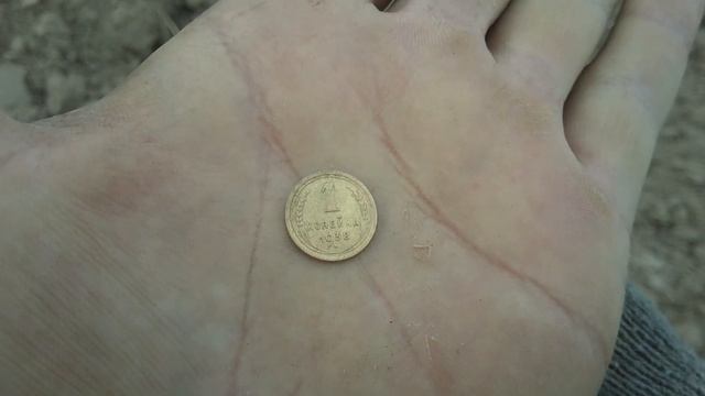 Поиск с Эквинокс 800. Много монет и красивый значок. смотреть онлайн