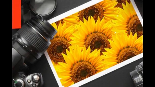 как научиться фотографировать в режиме м смотреть онлайн