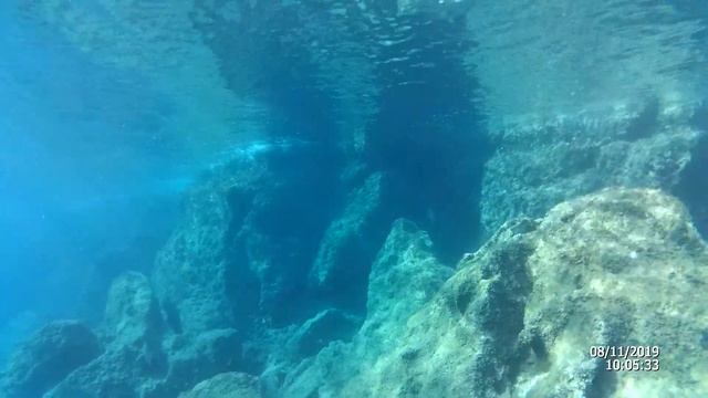 Аплизия или морской заяц смотреть онлайн