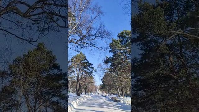 Босиком по снегу, 8 марта 2021 смотреть онлайн