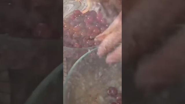 Пироги с рассказами