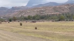 Скачки Голотль