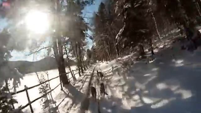 Ноябрьская тренировка - по первому снегу смотреть онлайн