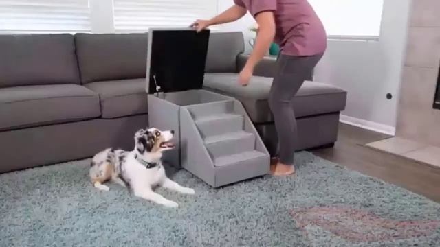 Best Dog Steps And Stairs - Foldable Pet Stairs For Bed смотреть онлайн