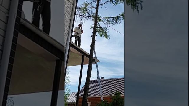 Лесоруб Камикадзе Как спилить высокое дерево,,,!!! #shorts смотреть онлайн