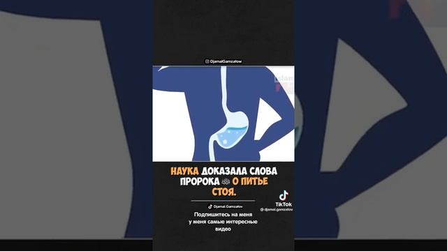 Пить воду сидя , это сунна Пророка Мухаммада саллаллаху алейхи ва саллям смотреть онлайн