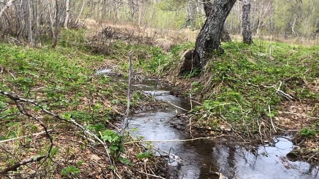 Камчатка | Как провести выходные в конце мая