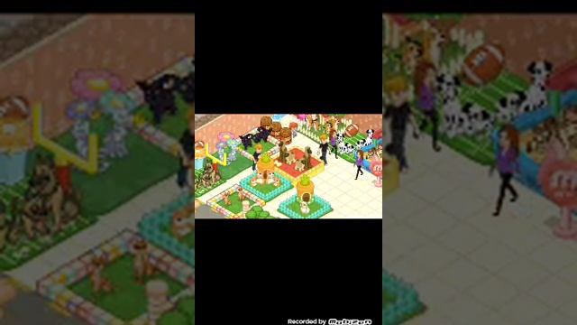 Играю в игру Pet Shop Story. смотреть онлайн