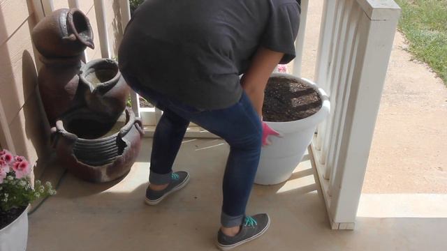 Geranium Waterfall Flower Planter 🌸 Welcome to Spring Fever смотреть онлайн