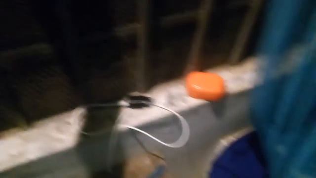 VID 20181211 180316 смотреть онлайн