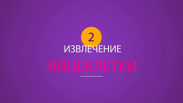 ЭКО в Израиле. 5 этапов экстракорпорального оплодотворения смотреть онлайн