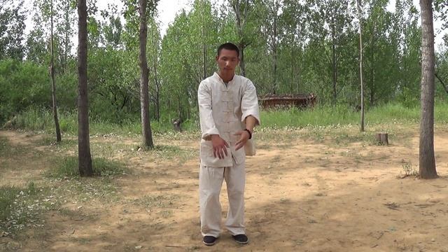 8 кусков парчи. Стиль Синь-И Ба. смотреть онлайн