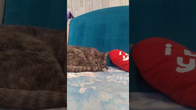 я песенку пришли мне воздушный поцелуй ? смотреть онлайн