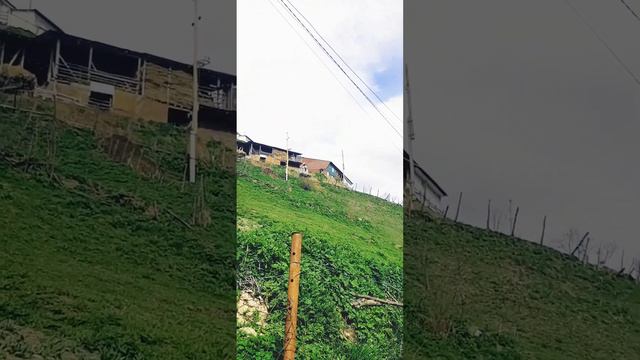 Деревнья на горе . смотреть онлайн