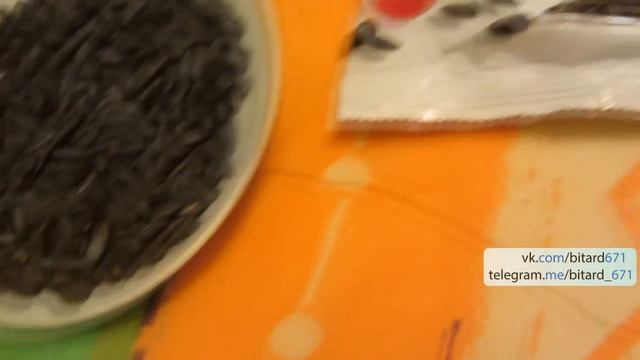 Семечки Жареные: "Красная Цена" | Отзыв Покупателя смотреть онлайн
