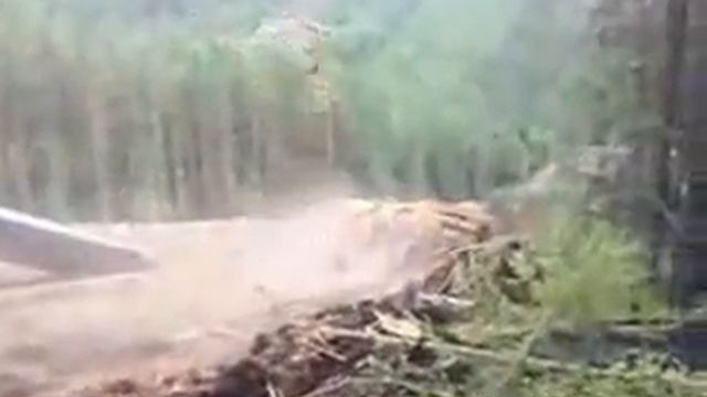 Убежал смотреть онлайн