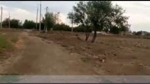 Про Хаваст. Часть 4 "От ж/д переезда до кладбища" (июнь + август 2019)