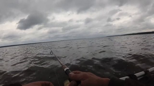 На веслах, без эхолота нашёл окуня... и не только. В помощь приложение Garmin Active Captain.