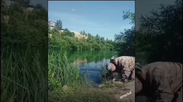 Рыбак неудачник смотреть онлайн