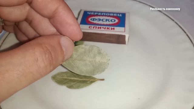 Как узнать есть ли порча и сглаз и как снять порчу и сглаз смотреть онлайн