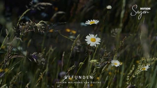 Johann Wolfgang von Goethe - Gefunden смотреть онлайн