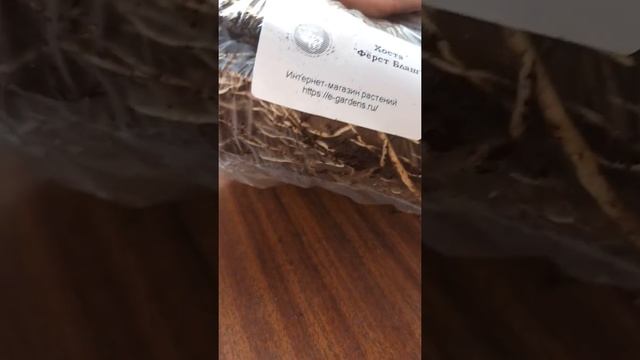 2 августа 2021 г. смотреть онлайн