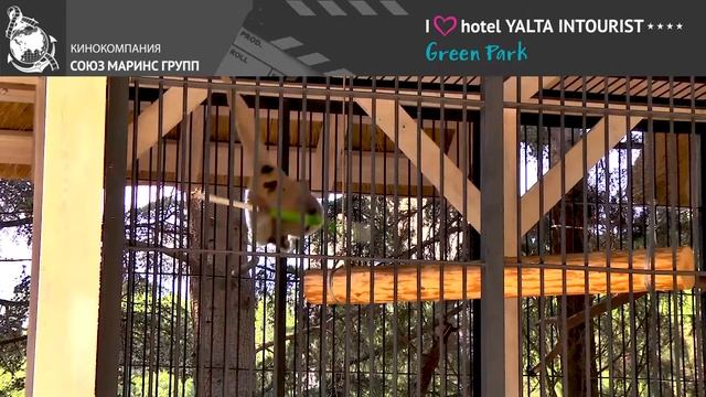 Что привлекает в Отеле Yalta Intourist именитых спортсменов? смотреть онлайн